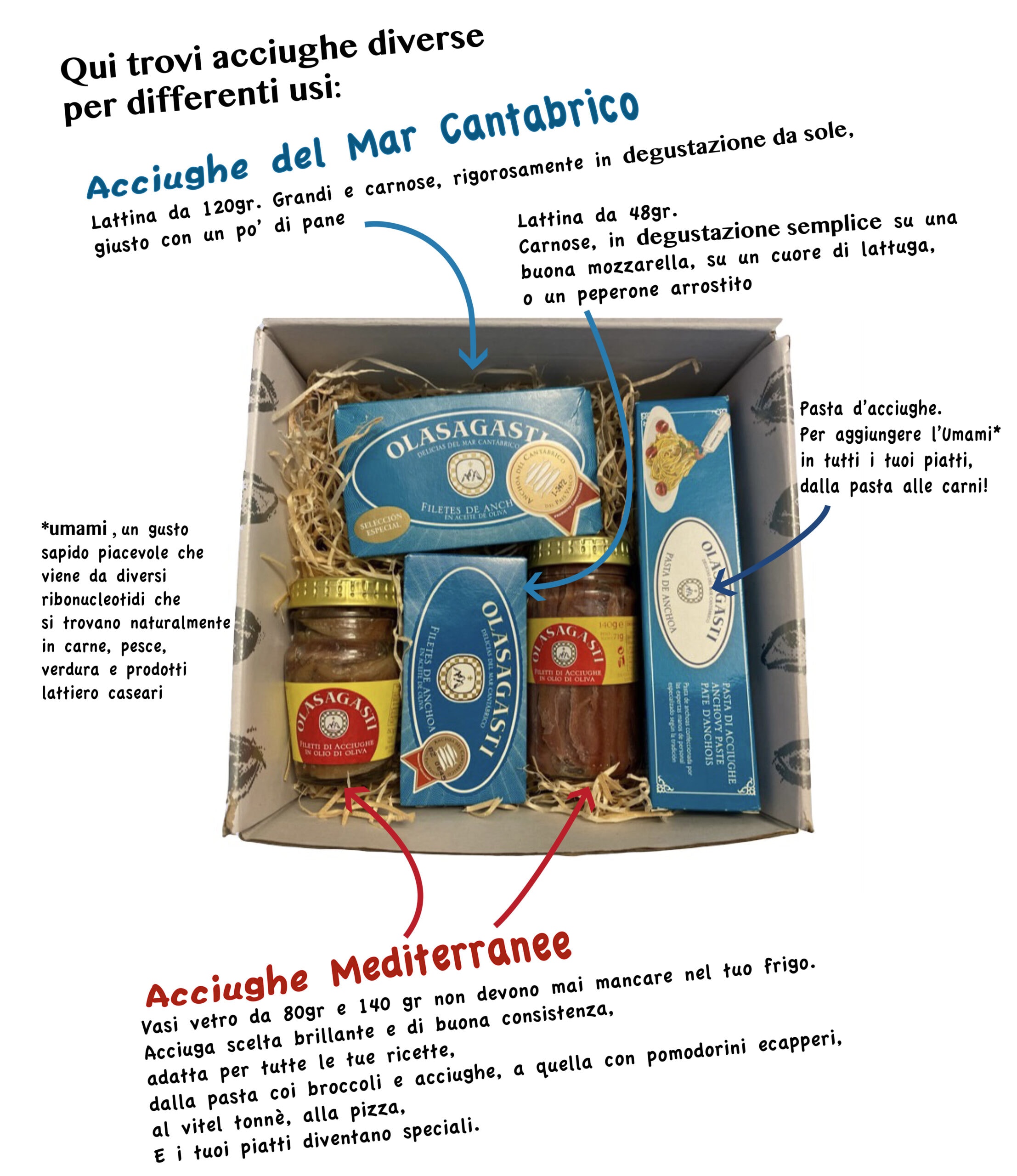 olasagasti-box-degustazione-acciughe-coffret-anchois-gourmet image 2